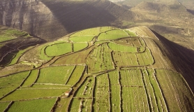 12342839_1156823457675013_1582640056547478714_n