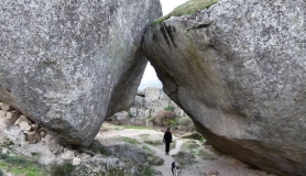 12360206_10206711775051977_6112846916633211898_n