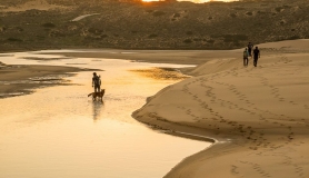 1795661_10202661889828926_5661264643020658486_n