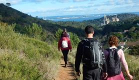 1924346_870117533008694_235171894474858025_n